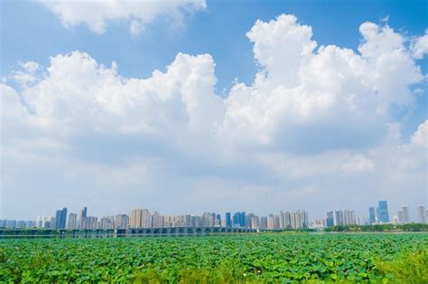 内容标签的背后:对特定网络词汇传播现象的梳理